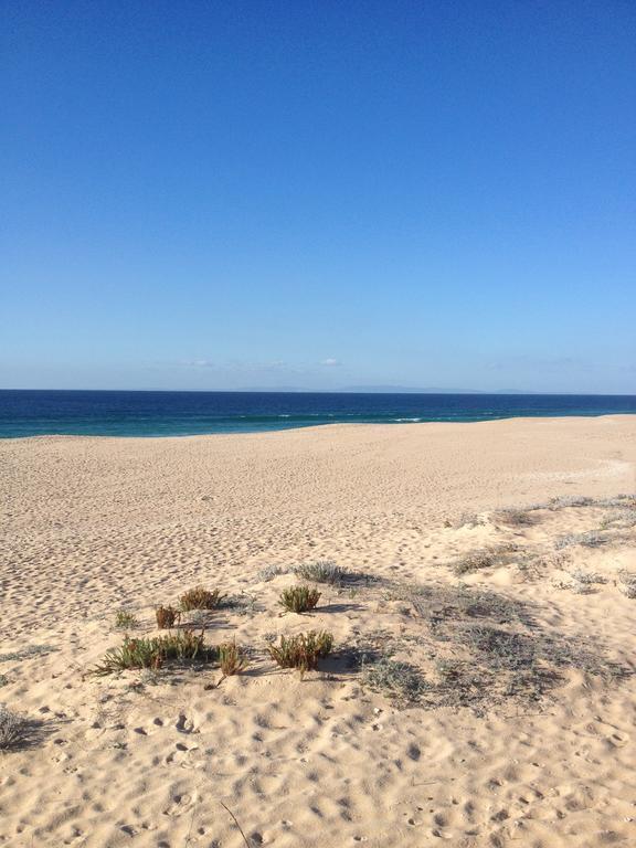 Herdade Do Frei Cuco Holiday home